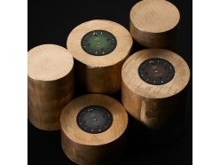 PRIM.ORLIK.BRONZ.IMAGE.4